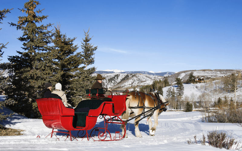 sleigh rides
