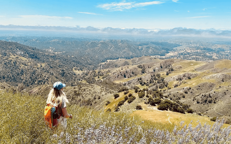 Exploring the Enchanting Santa Ynez Valley