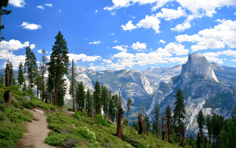 Yosemite National Park