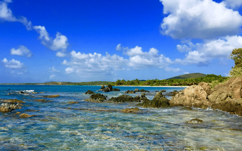 Vieques