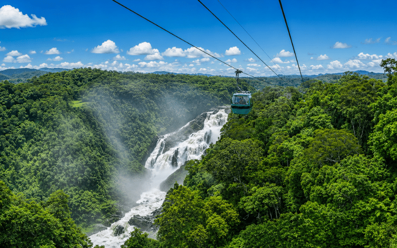 Into the Rainforest